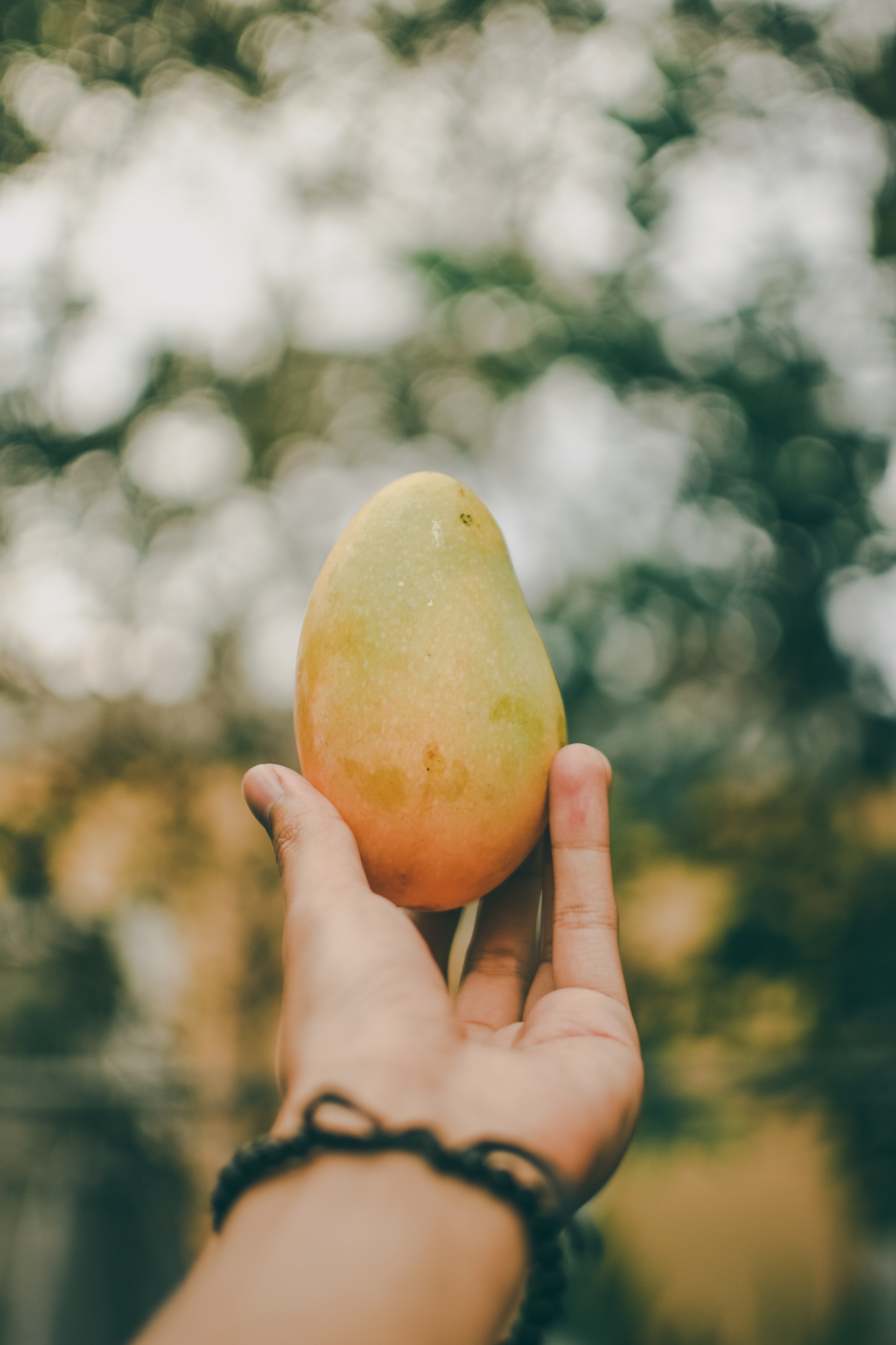 Mangue Valeur Nutritive Bienfaits Sante Et Conservation