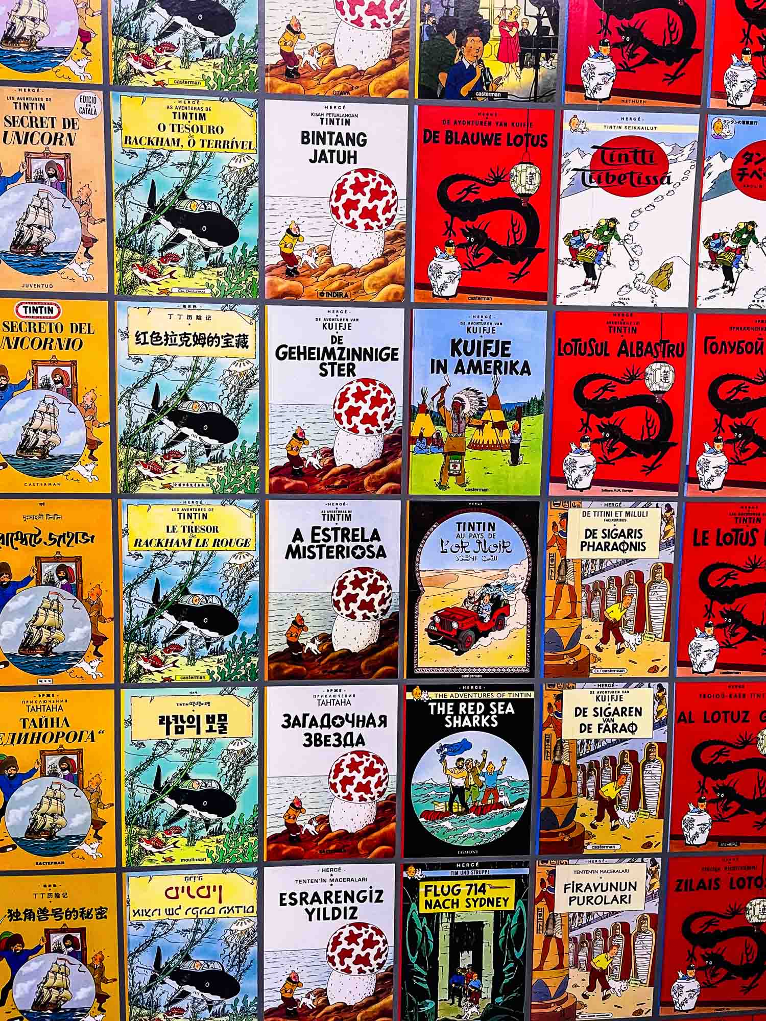 Tintin, l'aventure immersive