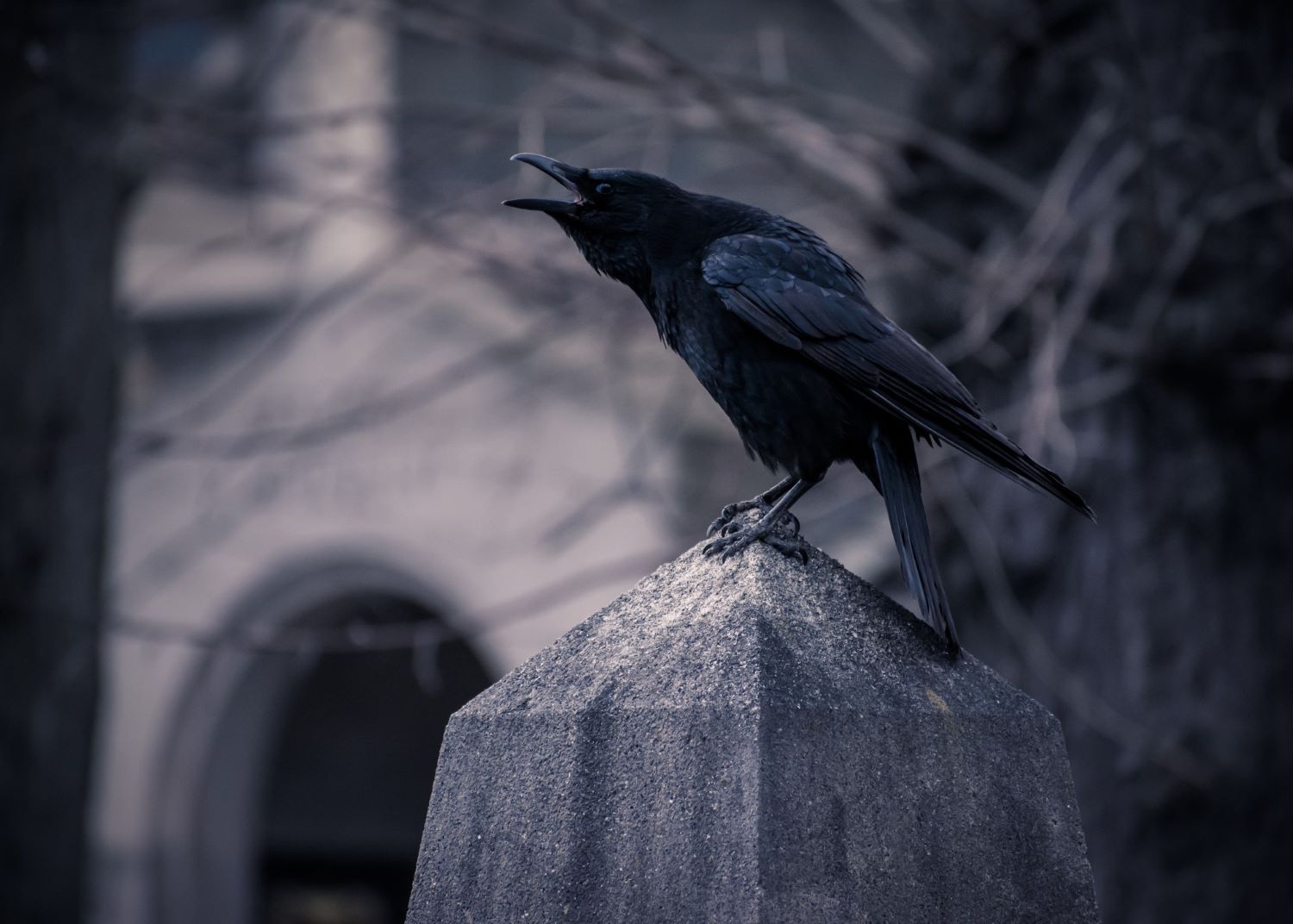 Ces Superstitions Populaires Annoncent La Mort