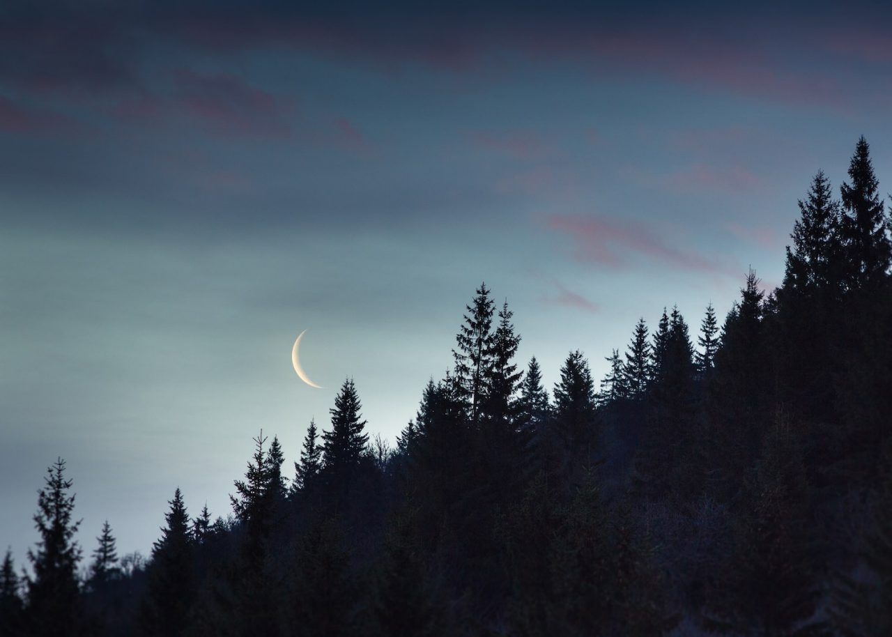 Young moon over the forest in the mountains at night.