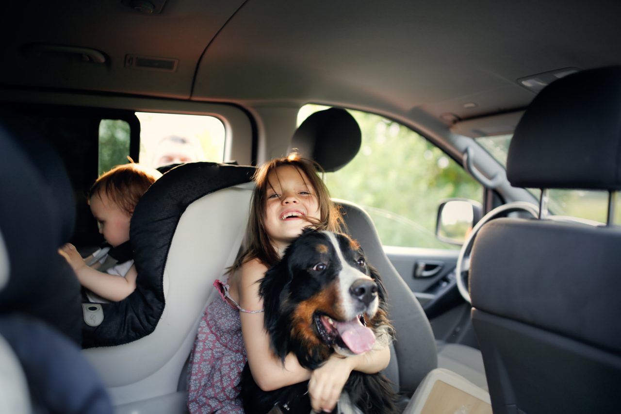 stopover on a road trip. Concept family travel with children and animals, local travel