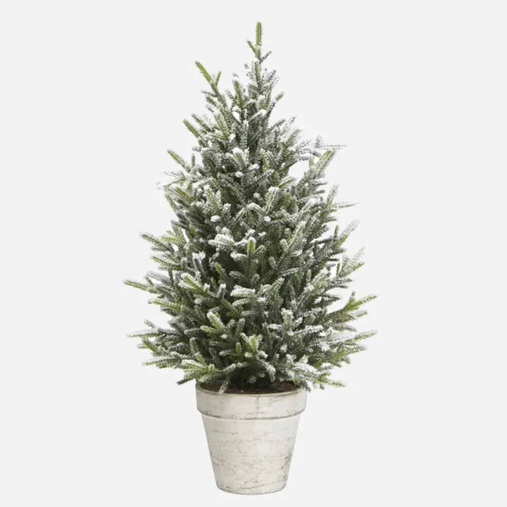 sapin de noël en pot