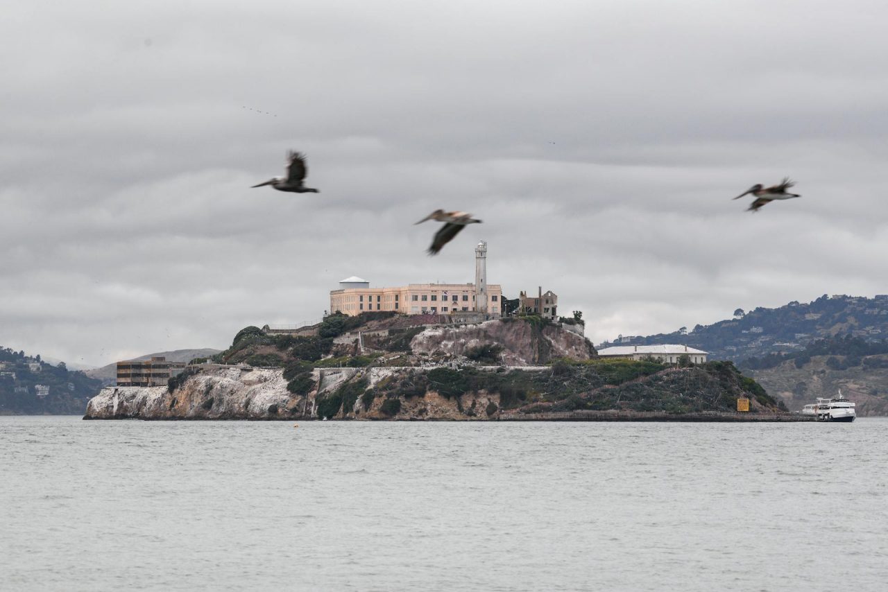 Alcatraz