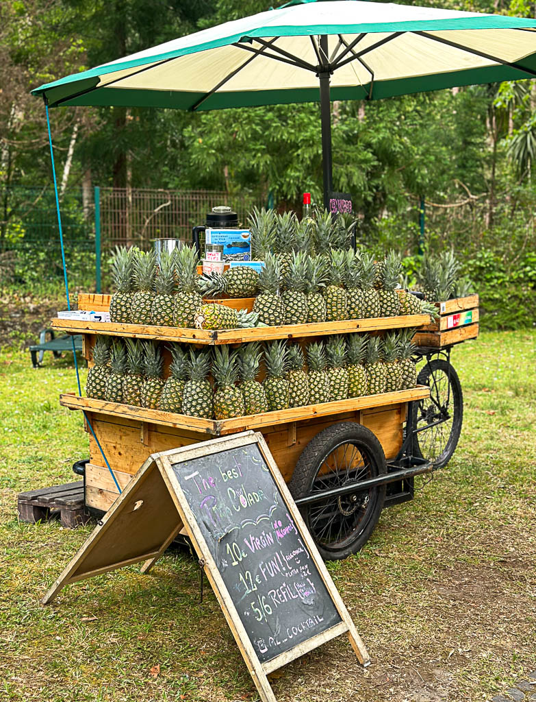 Kiosque d'ananas