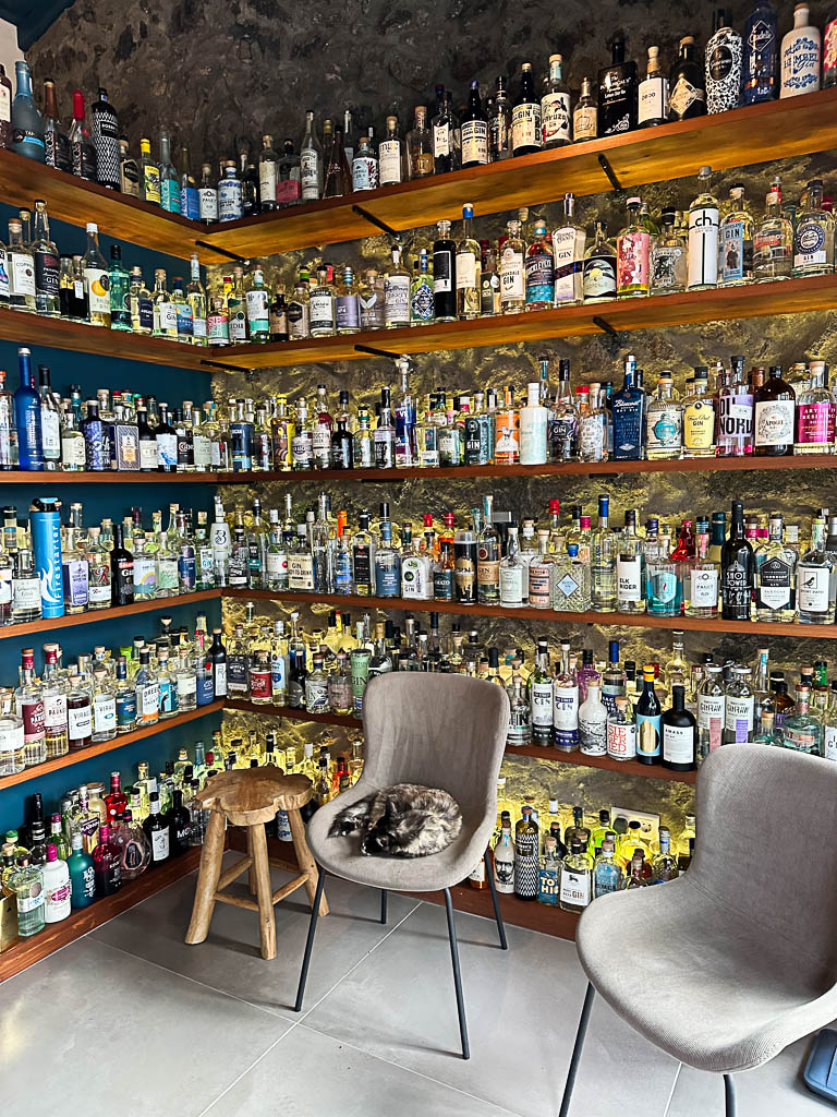 Une petite partie de la collection de gins du Gin Library